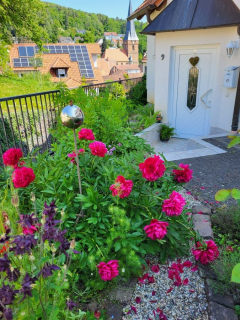 Domizil-Lavendel Dörrenbach Unser Eingang